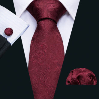 Burgundy Bliss Paisley Tie