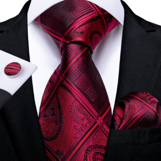 Regal Ruby Rendezvous Paisley Tie