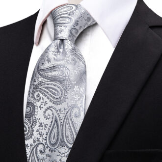 Platinum Elegance Paisley Tie