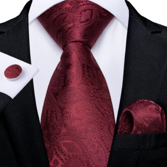 Maroon Majesty Paisley Tie