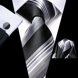 Silver Stride Striped Tie Set